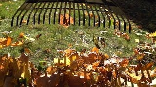 Beachfront BRoll Raking Leaves POV Free to Use HD Stock Video Footage [upl. by Aihseken]