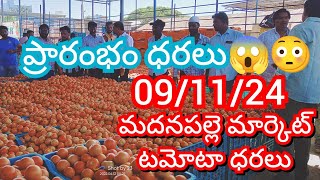 091124 Madanapalle Tomato Market price Today  Today Tomato Market Rate in Madanapalle today [upl. by Ailemac505]