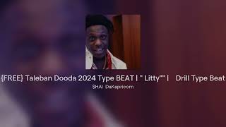 FREE Taleban Dooda 2024 Type BEAT   Littyquotquot  Drill Type Beat [upl. by Irakab]