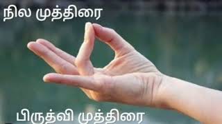 நில முத்திரை  பிருத்வி முத்திரை  பலன்கள் [upl. by Nayve]