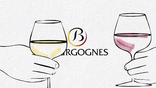 Comment sont classés les vins de Bourgogne [upl. by Luben]