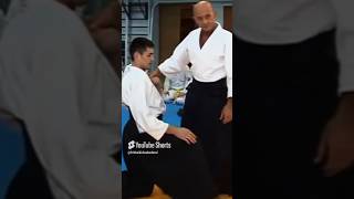 Aikido Highlevel Techniques from Nebi Vural sensei aikido karate combataikido aikidodojo [upl. by Ayekim347]