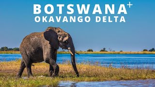 Maun  Gateway to the Okavango Delta Moremi National Park [upl. by Bassett]