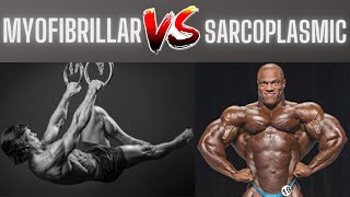 Myofibrillar hypertrophy or Sarcoplasmic hypertrophy which is better [upl. by Fayre]