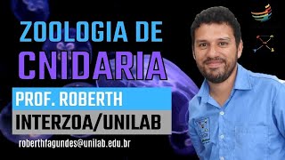 AULA SOBRE CNIDARIOS POLIPOS MEDUSAS AGUAS VIVAS CORAIS ANEMONAS  FINO CNIDARIA [upl. by Acirretahs]