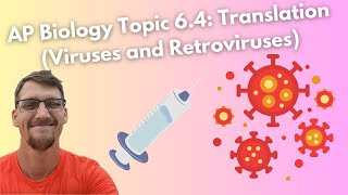 64 Translation Viruses and Retroviruses  AP Biology [upl. by Tijnar]