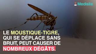 Piqûre de moustiquetigre  les symptômes à cerner en cas dallergie [upl. by Centonze]