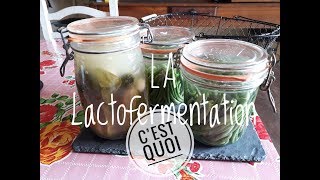 La LACTOFERMENTATION  Méthode et conserves de Haricots verts [upl. by Gerri242]