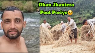 Gaun Ma Dhan Jhatne Karakam  Village life Vlog  Pyuthan [upl. by Aliwt734]