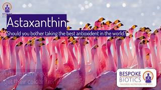 Astaxanthin 7 mins on why you should take the best antioxidant in the world [upl. by Zelig]