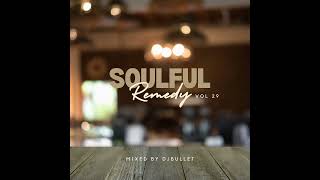 DJ Bullet  Soulful RemedyVol 29 [upl. by Giarla]