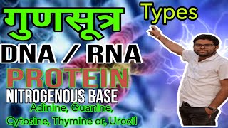 Chromosome DNARNA  PROTEIN  NITROGENOUS BASE  Adinine  Guanine  Cytosine Thymine  Urocil [upl. by Sezen648]