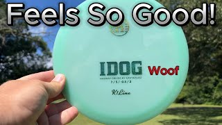 Is This Disc Better Than Your TEEBIRD  Kastaplast IDog Rapid Disc Review [upl. by Kuehn]