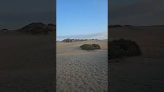 Maspalomas Sand Dunes 2024 [upl. by Aneekahs]