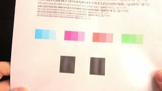 Cleaning the Printhead of HP OfficeJet Pro 6960  Maintain Print Quality [upl. by Kerwin]