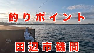 釣りポイント 12th 和歌山県田辺市磯間（磯間漁港） [upl. by Acinat817]