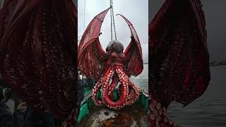 Giant Sea Monsters Caught by Fishermen 🐙🎣GiantSeaCreatures FishingDiscoveries OceanMysteries [upl. by Halsted]