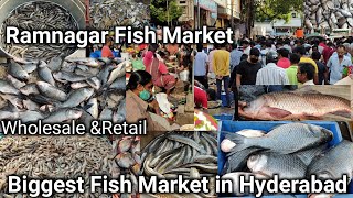 Biggest Fish Market in Hyderabad  Ramnagar Fish Market Musheerabad Fish Market WholesaleampRetail [upl. by Ekeiram]