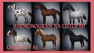 HARMONOGRAM NA LISTOPAD  NORIKERY  NOWE KONIE  odc85 sso starstableonline starstable [upl. by Edmonda156]