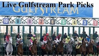 Live Gulfstream Park Horse Racing Picks [upl. by Masha576]