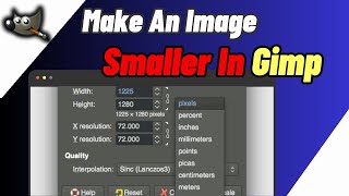 How To Make An Image Smaller In Gimp  Resize In Image In Gimp [upl. by Enneicul726]