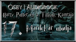 Harry Potter és a Titkok Kamrája hangoskönyv  17 fejezet [upl. by Formenti101]