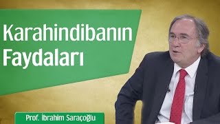 Karahindibanın Mucizevi Faydaları  Prof İbrahim Saraçoğlu [upl. by Dumond]