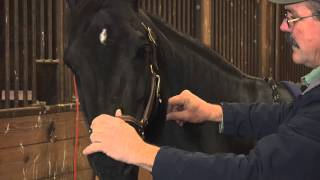 Lateral Cervical Flexion With Jim Masterson [upl. by Barthelemy]