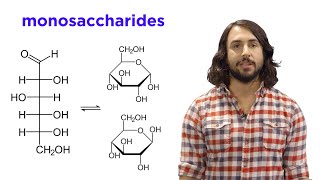 Carbohydrates Part 1 Simple Sugars and Fischer Projections [upl. by Cornish]