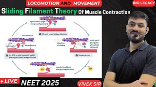 Sliding Filament Theory Of Muscle Contraction  Locomotion amp Movement Class 11th  by  Vivek Sir [upl. by Beata54]