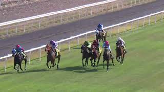 Dalby 04112023 Race 5 [upl. by Rodina]