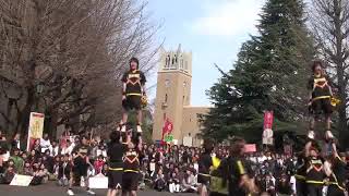 【チア】2010年（H22年）新歓演技：男子チアリーディングチーム SHOCKERS （All  mens cheerleading Team quotSHOCKERSquot ） [upl. by Auqinimod44]