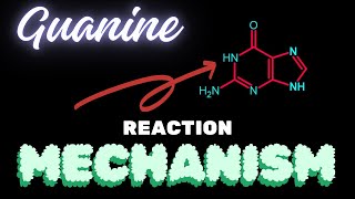 GuanineReaction Mechanism [upl. by Enyal]