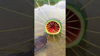 Survival Skills Simple and Useful with Watermelon Turtle 🐢 Trap survival funny simple bushcraft [upl. by Acirema]