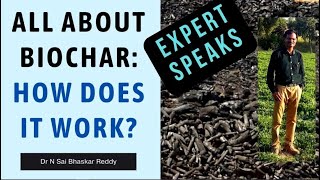 All about Biochar How Does it Work Complete Explanation [upl. by Bodnar]