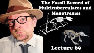 Lecture 69 The Fossil Record of Multituberculates and Monotremes [upl. by Ttereve]