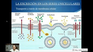 Clase de Biología  Excreción en seres unicelulares y plantas [upl. by Shalne]