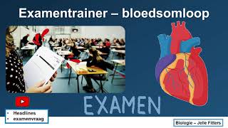 Examentrainer  Bloedsomloop [upl. by Ahslek]