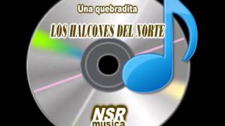 Los halcones del norte una quebraditadyoutube [upl. by Raymonds]