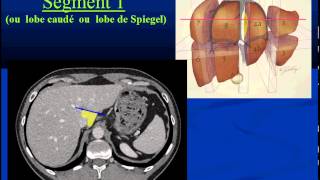 Segmentation et Vascularisation hépatique partie 1 [upl. by Eustace]