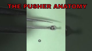 Pusher Button Anatomy of the Watch Chronograph Shorts [upl. by Olnton]