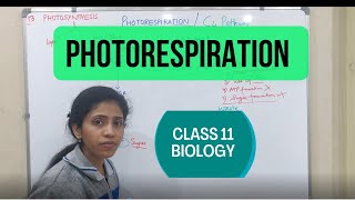 Photorespiration Class 11 biology  Photosynthesis in plants  Chapter 13  NCERT One biology [upl. by Livesay]