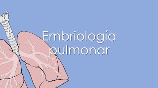 EMBRIOLOGÍA PULMONAR [upl. by Launamme]