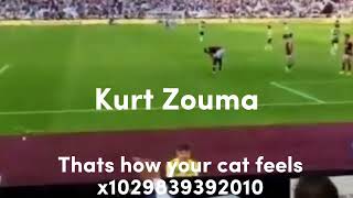 Fans chant at Kurt Zouma Thats how your cat feels [upl. by Eahsal]