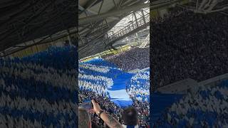 Hannover vs Schalke😍INVASION 15000 SCHALKER🔵⚪️ schalke04 s04 hannover96 schalke 2bundesliga [upl. by Iah]