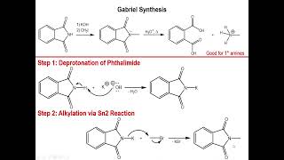 Lec9  Gabriel Synthesis of Primary Amines [upl. by Innavoij]