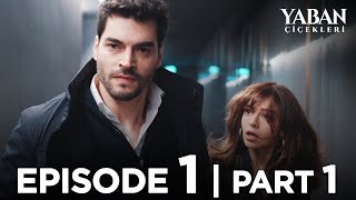 Yaban Çiçekleri Episode 1  Part 1 Subtitled in English YabanCicekleriEnglish [upl. by Notlek]