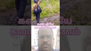 சாமிசரணம் shortvideo ytshorts ytviral [upl. by Sherar379]