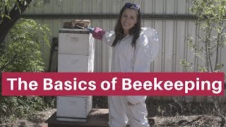 Beekeeping for beginners The absolute basics [upl. by Norrek]