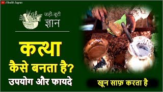 कत्था बनाने का तरीका  Benefits amp Uses  Catechu Making Process  paan wala kattha kaise banta hai [upl. by Audrit73]